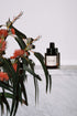 REPAIR NIGHT SERUM